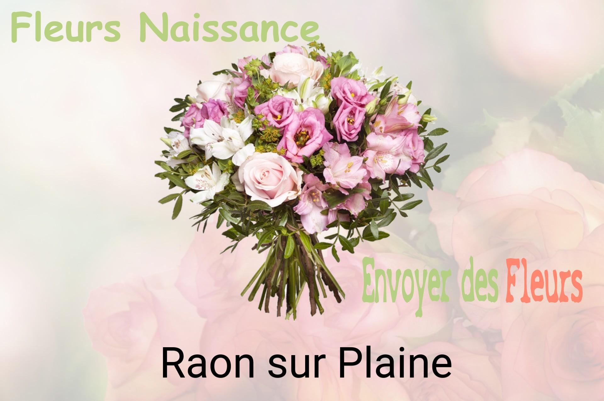 Bouquet de fleurs de naissance livré à Raon-sur-Plaine